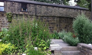 The Rossendale medicinal herb garden