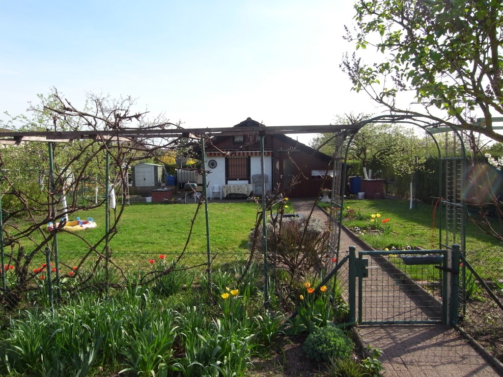 Schönau allotments