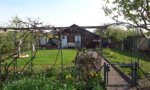 Schönau allotments