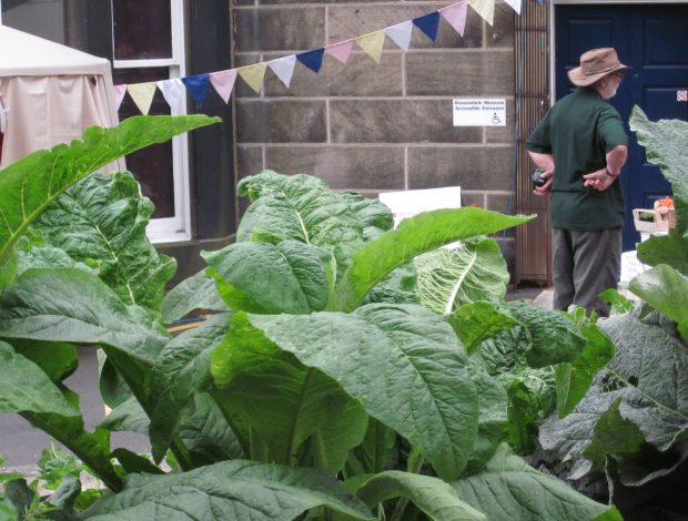 The Rossendale medicinal herb garden