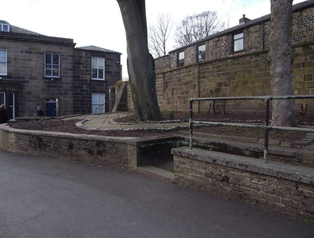 Before the Rossendale medicinal herb garden