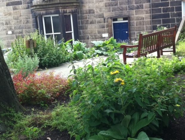 The Rossendale medicinal herb garden