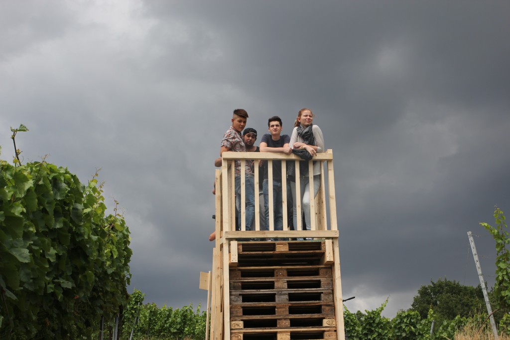 Vineyard intervention